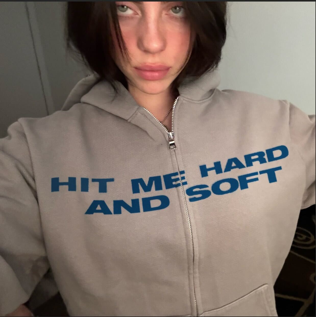 HIT ME HARD AND SOFT ZIPPER HOODIE
